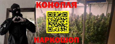 гидропоника Краснодар