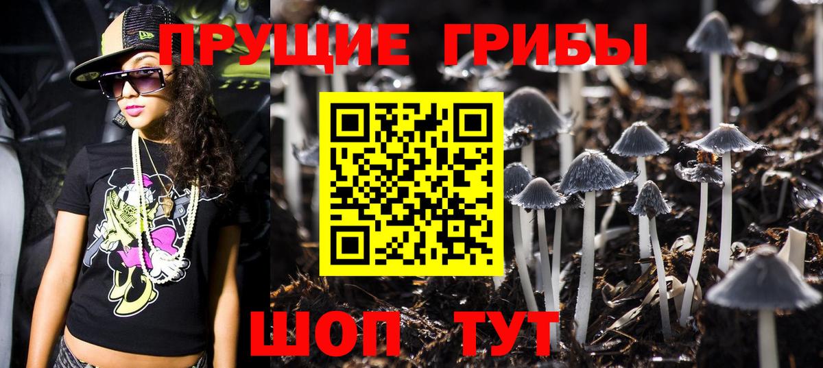 Красногорск  Псилоцибиновые грибы MAGIC MUSHROOMS  Вход с VPN  Псилоцибиновые грибы Magic Shrooms 