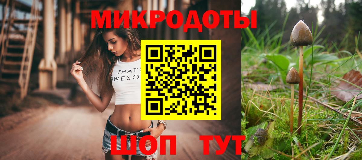 Псилоцибиновые грибы мицелий Красногорск